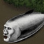 Avatar of 물거시기
