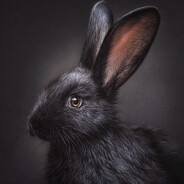 Черный кролик