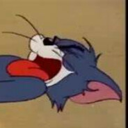 Junkers JU-87 Bomber