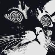 MistyEyedKid