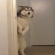 说不是之前先报点