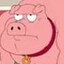 Genetically Perfect Pig