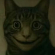 对不起我是唐货