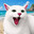 ButcherCat