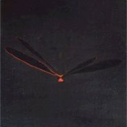 Space - steam id 76561197971449545