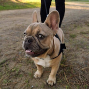 ↫♥Nyαɾυƙσ♥↬