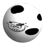 Spherical Cow