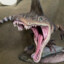 Saurian