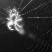 Мефедроновая Няш