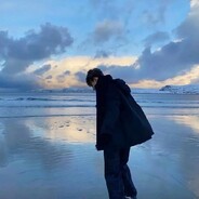 爱吃水泥的苍蝇