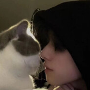 北海道芝士蛋糕