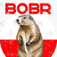 Bobr
