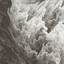 SAVROV