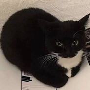 ЕВГЕНИЙ ЛАКОМОТИ