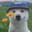 Noa ッ