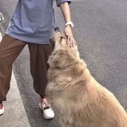 M78星云    迪迦奥特曼