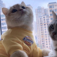 山海也有意难平