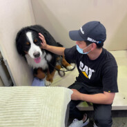 吃你爹一个脑瓜崩