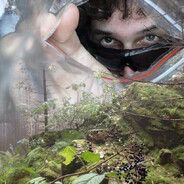 mitch Steam avatar