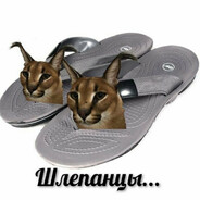 Tapo4ek