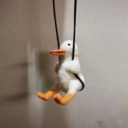 桐桐桐桐桐桐吖