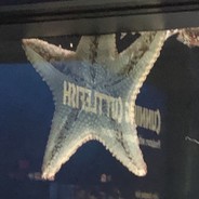 Nathan的磷叶立德