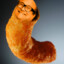 Danny DeCheeto