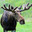 Moose