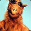 Alf