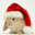 SantaBunny's avatar