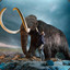 Woolly Mammoth