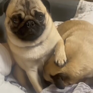 Саня - steam id 76561199119634768