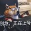 正在上号！