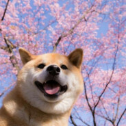 山歌响起的地方！