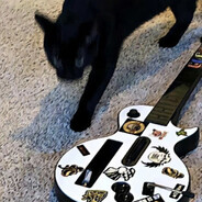 花里胡哨没有用