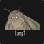 _MOTH_BOY