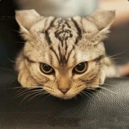 一声声靓仔中迷失自我