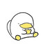 Pupat