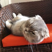 你的G7有我的G8长吗