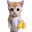24k kat