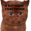 Дюдя