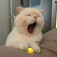 一颗仙女味的柠檬