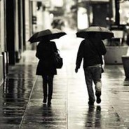 新月清暈 花樹堆雪