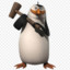 Rico_penguin