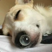 古希腊掌管猪肘饭的神