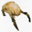 headcrabfan