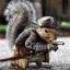 U1C-Squirrel in suit-