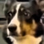 ake