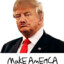 Make America Great Again