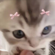 小猫放屁导致全球变暖